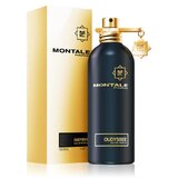 Montale Oudyssee Parfumska voda 100ml