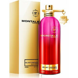 Montale Velvet Fantasy Parfumska voda 100ml
