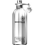 Montale Fougeres Marine Parfumska voda 100ml