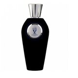 V Canto Alibi Parfum 100 ml