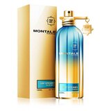 Montale Day Dreams Parfumska voda 100ml
