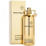 Montale Aoud Leather Eau de Parfum Parfumska voda 100ml