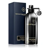 Montale Oud Edition Parfumska voda 100ml