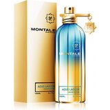 Montale Aoud Lagoon Parfumska voda, 100ml