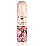Cuba Original Cuba Blossom Parfumska voda 100ml