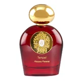 Tiziana Terenzi Tempel Parfumska voda 100ml