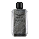 Bentley Momentum Unbreakable Eau de Parfum Parfumska voda 100ml