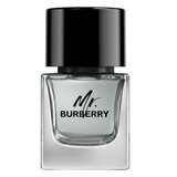 Burberry Mr. Burberry for Men Eau de toilette Toaletna voda 50ml