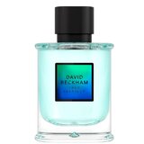David Beckham True Instinct Parfumska voda 75ml
