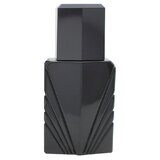 Elizabeth Taylor Passion For Men Kolonjska vodica