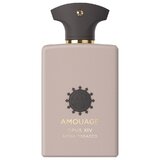 Amouage Opus XIV Royal Tobacco Parfumska voda 100ml