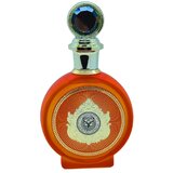 North Stag Expressions IV Quarte Parfumska voda 100ml