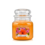 Country Candle Sunshine & Daisies dišeča sveča srednja 2 stenja (453 g)