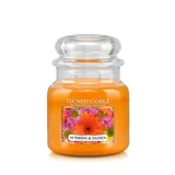 Country Candle Sunshine & Daisies dišeča sveča srednja 2 stenja (453 g)