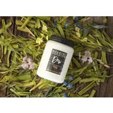 MILKHOUSE CANDLE Dišeča sveča Morning Dew Farmhouse Jar (737 g)