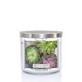 Kringle Candle TUMBLER Succulents 3-wick dišeča sveča 411 g