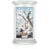Kringle Candle Coral velika dišeča sveča z 2 stenjema (624 g)
