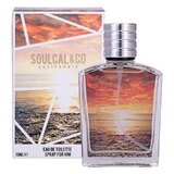 Soulcal & Co For Him Brown Toaletna voda 75ml