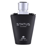 TaDangel Status Pour Homme Parfumska voda 100ml