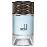 Dunhill Signature Collection Nordic Fougere Parfumska voda 100ml