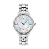 Police PL16036BS/28M