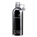 Montale Aoud Lime Parfumska voda 100ml