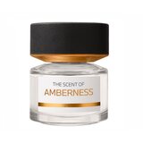 BMW The Scent of Amberness Parfumska voda 50ml