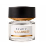BMW The Scent of Amberness Parfumska voda