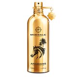 Montale Arabians Parfumska voda - Tester 100ml