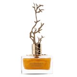 Aurora Scents Deciduous Summer Parfumska voda 100ml