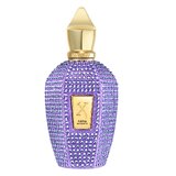 Xerjoff Purple Accento Parfumska voda - Tester 100ml