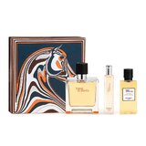 Hermes Terre D'Hermes Pure Parfum Darilni set, parfum 75 ml + parfum 15 ml + Shower Gel 40ml