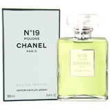 Chanel No 19 Poudre Parfumska voda 100ml