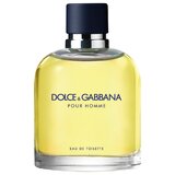 Dolce & Gabbana Pour Homme Toaletna voda 75ml
