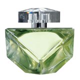 Britney Spears Believe Parfumska voda 100ml