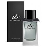 Burberry Mr. Burberry Toaletna voda 100ml