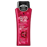 Regenerative Šampon for Colored Hair Ultimate Color 250 ml