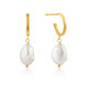 ANIA HAIE Earrings Pearl of Wisdom E019-02G