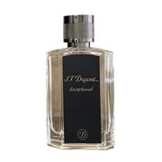 S.T. Dupont Exceptional Parfumirana voda
