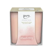 dišeča sveča ipuro Essentials Time for a Hug 125 g