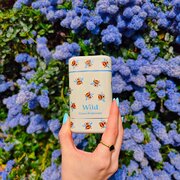 Wild Honey & Cactus Flower Bee Case Deo stick