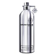 Montale Fruits of the Musk Parfumska voda