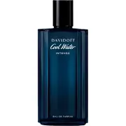 Davidoff Cool Water Intense For Him Parfumska voda 125ml