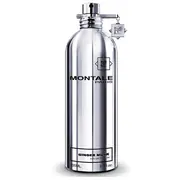 Montale Ginger Musk Parfum 100 ml