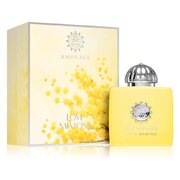 Amouage Love Mimosa Parfumska voda 100ml