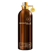 Montale Full Incense Parfumska voda