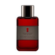 Antonio Banderas The Secret Temptation Toaletna voda - Tester