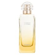 Hermes Un Jardin a Cythere Toaletna voda 100ml