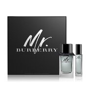 Burberry Mr. Burberry Darilni set, toaletna voda 100ml + toaletna voda 30ml