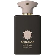 Amouage Opus XIII Silver Oud Parfumska voda
